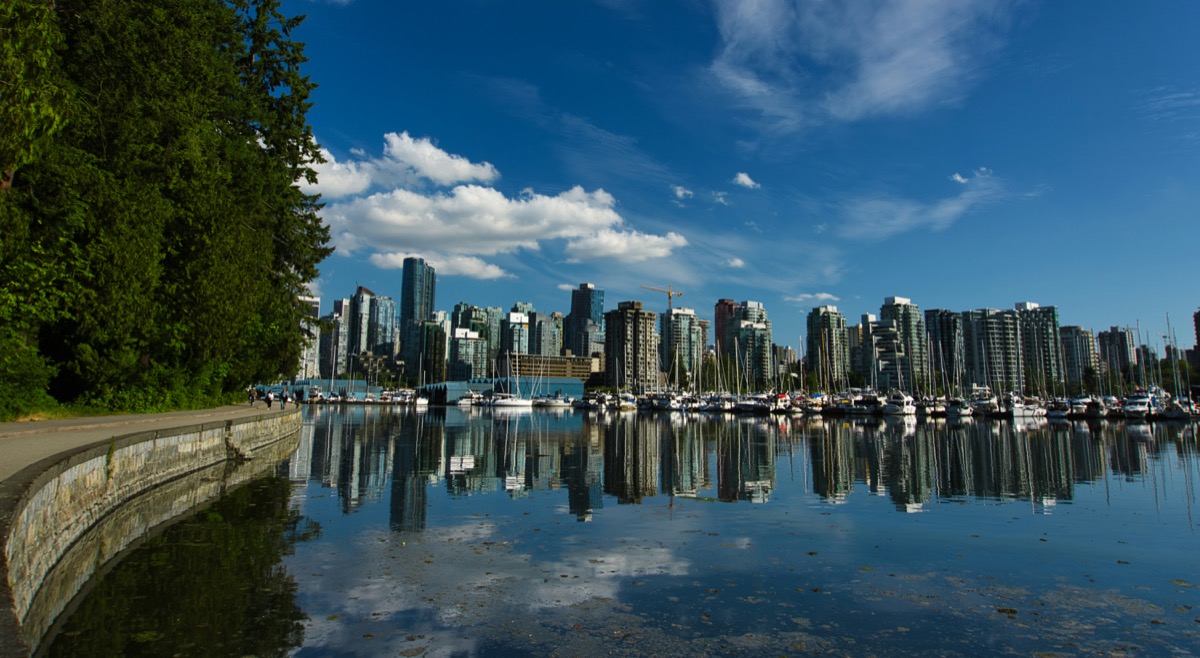 The Seawall